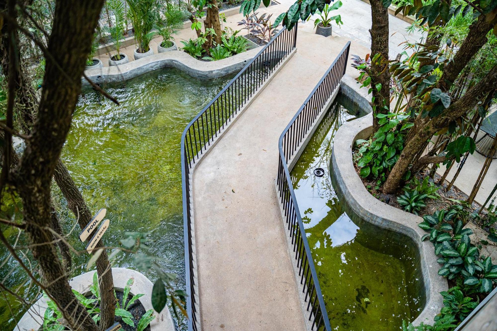 Rainforest Hotel By Nsun Kampot Exterior photo